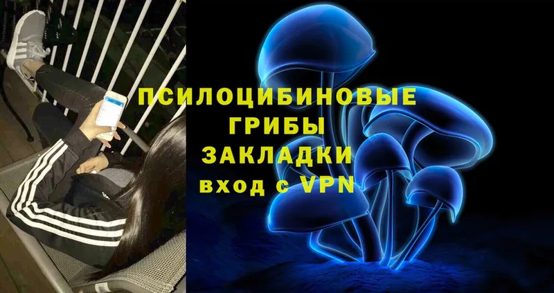 Псилоцибиновые грибы мицелий  hydra маркетплейс  Опочка 